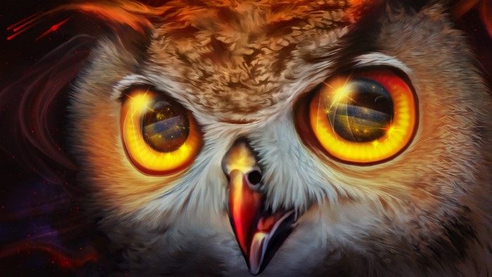 4K Painting Art Closeup of an Owl's Eyes and Beak