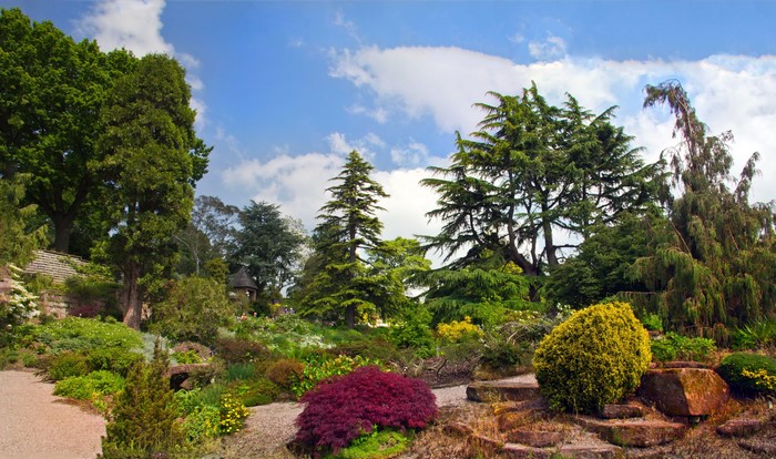 4K view of Lyme Park England with trees and shrubs
