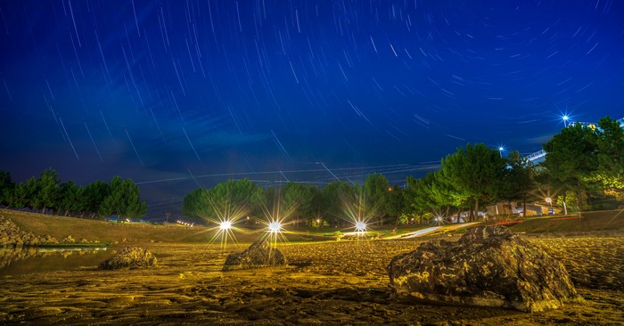 Star Trails Over Beach with Trees and Lights at Night