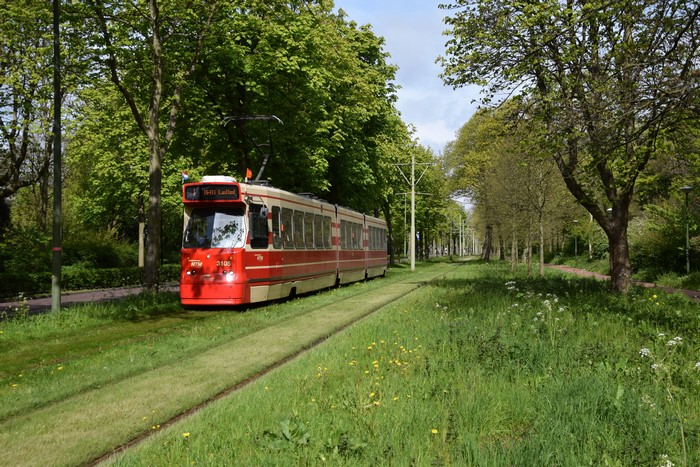 Tram 3106 on tracks in The Hague, Netherlands
