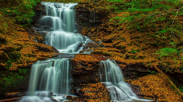 Waterfall cascading over rocks with autumn leaves