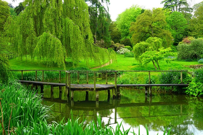 Sezincote Park England Pond Bridge Trees Lawn