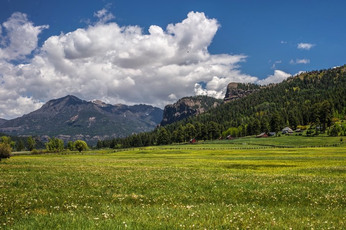 Colorado Mountains and Forests with Houses