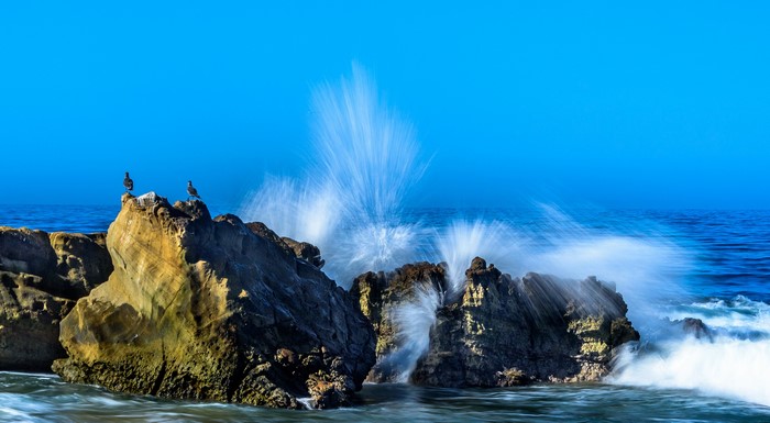 Waves crashing on rocks with birds in Laguna Beach, California