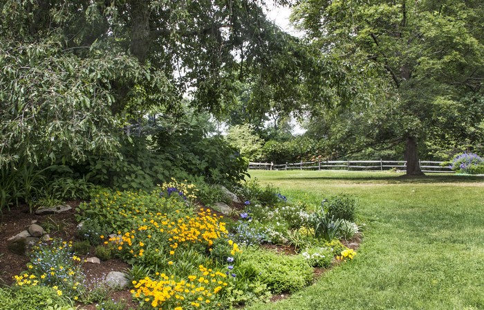 Garden with yellow flowers and trees at Tower Hill Botanical Garden