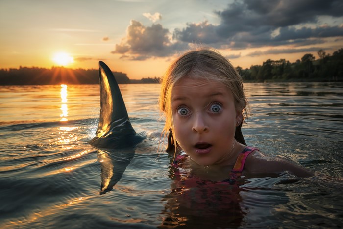 Girl and shark fin in water at sunset