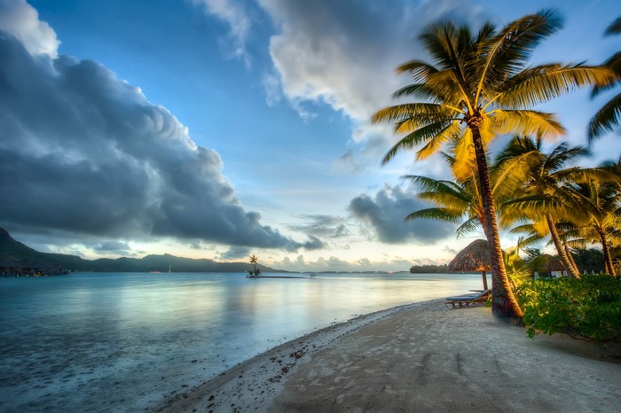 Bora Bora Tropical Evening Coast with Palms