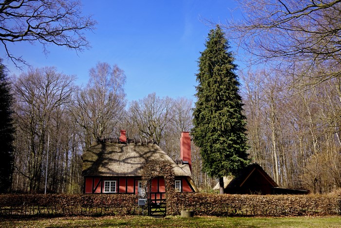 Thatched roof house with red facade in a forest