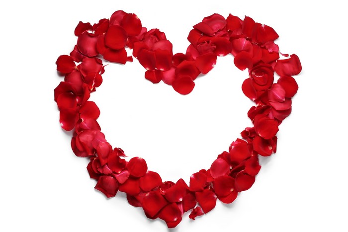 Heart shape made of red rose petals on white background