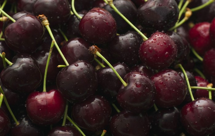 Close-up of fresh cherries with water drops