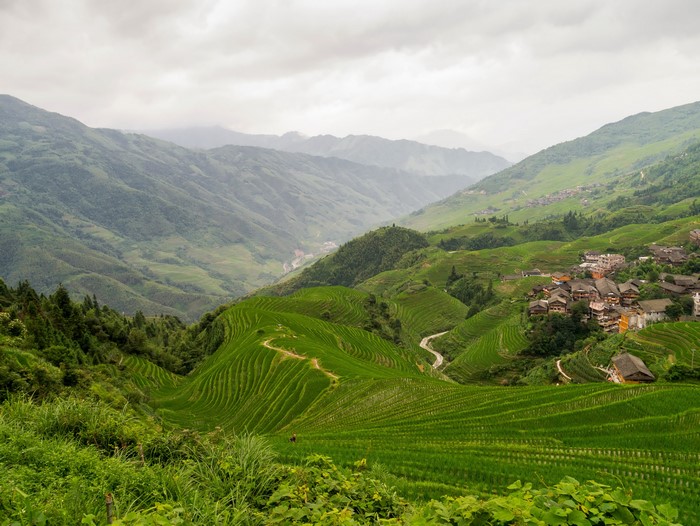4K Longji Rice Terraces Pingan Village China Scenery