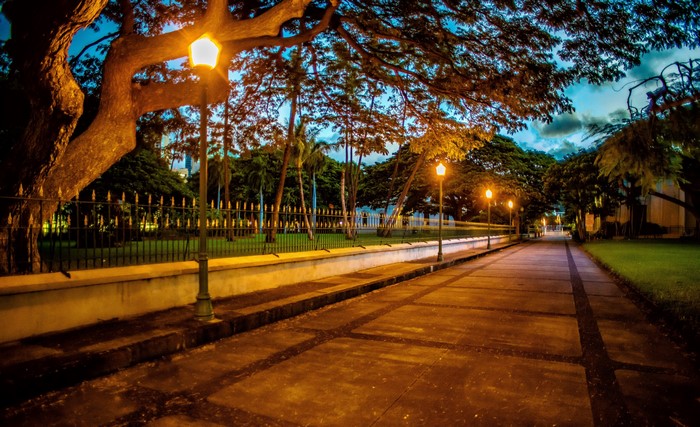 Street lights along a pathway in Honolulu, Hawaii at dusk
