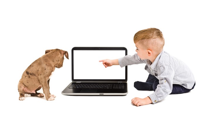 Boy and dog looking at a laptop