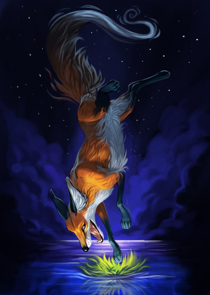 Fox jumping into water at night