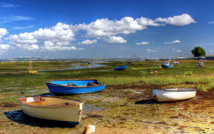 Boats on a marshy coast under a cloudy sky