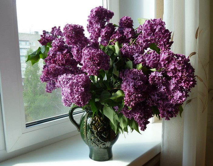Bouquet of Lilacs in a Green Vase on a Windowsill