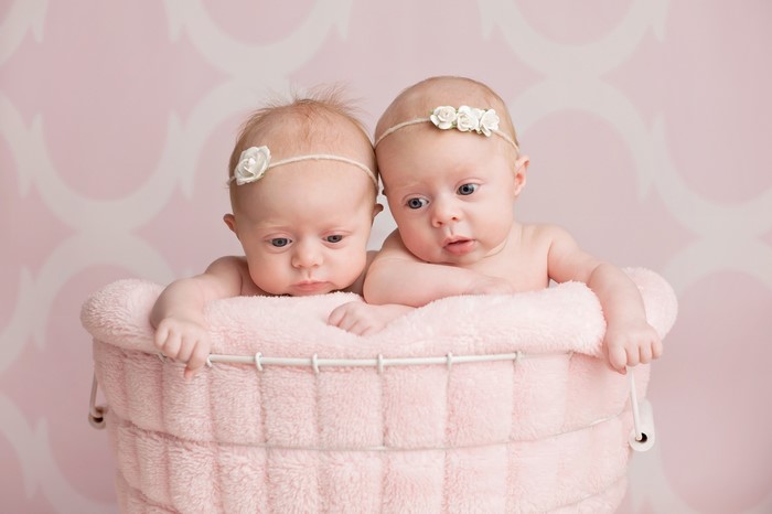 Two infants in a pink basket
