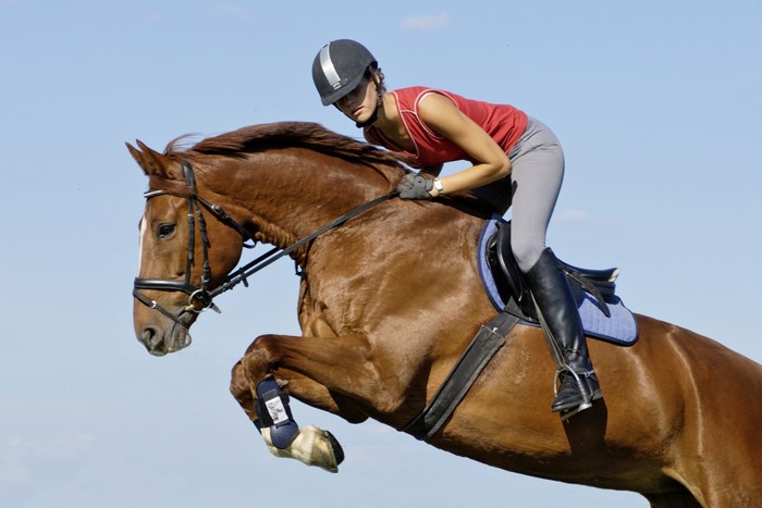 Woman riding a brown horse jumping over an obstacle