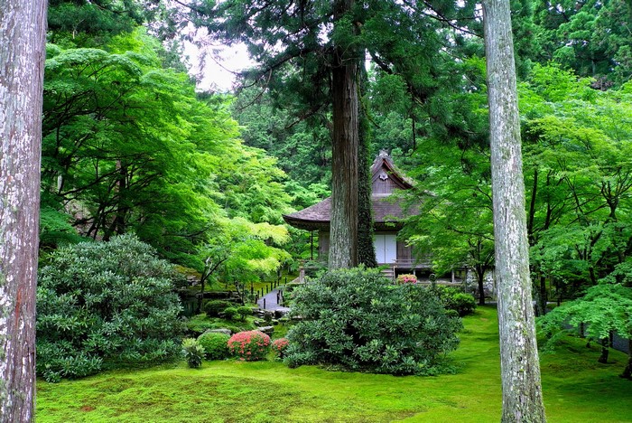 Japanese garden with traditional house and moss