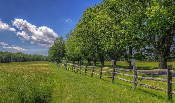 Wooden fence along a grassy field with trees