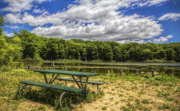 Picnic table by a lake with trees and clouds