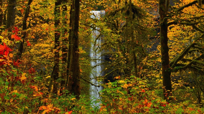 Waterfall in a forest during autumn