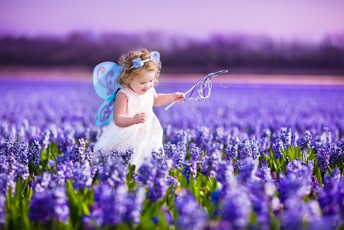 Little girl in fairy costume in a field of purple flowers