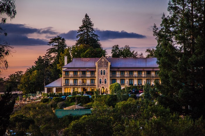 Hotel building on a hill with trees at sunset