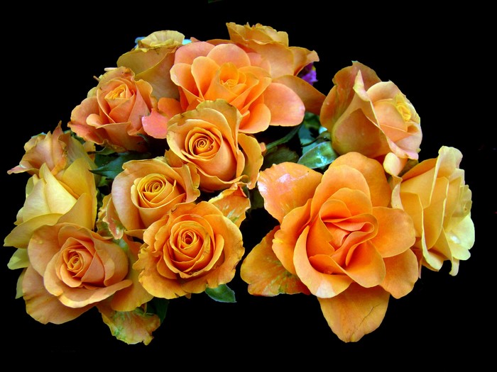 Bouquet of orange and yellow roses on a black background