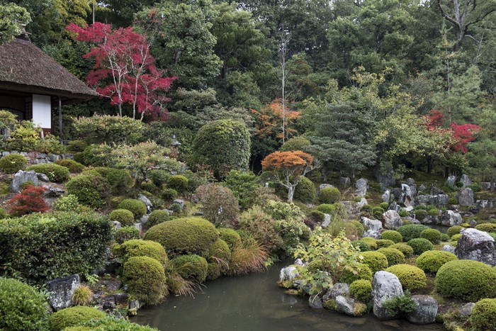 Kyoto, Japan, Parks, Pond, Stones, Trees, Shrubs, HD Wallpaper | Rare ...