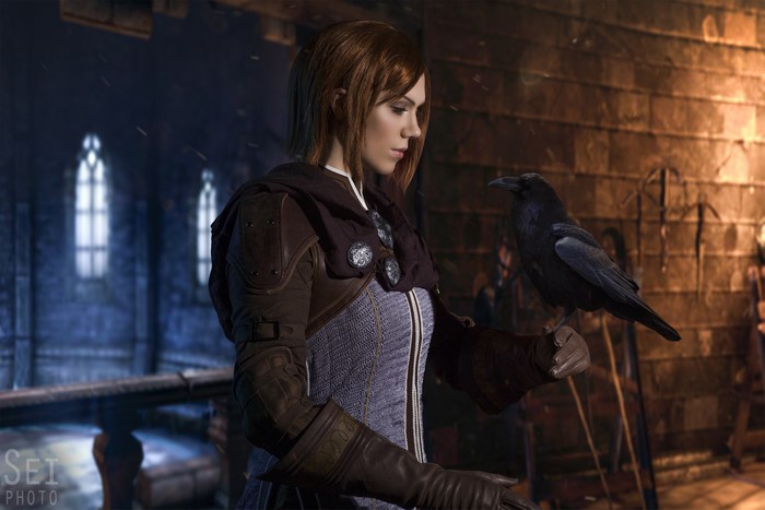 Leliana from Dragon Age with a crow