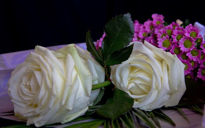 Two white roses with pink flowers