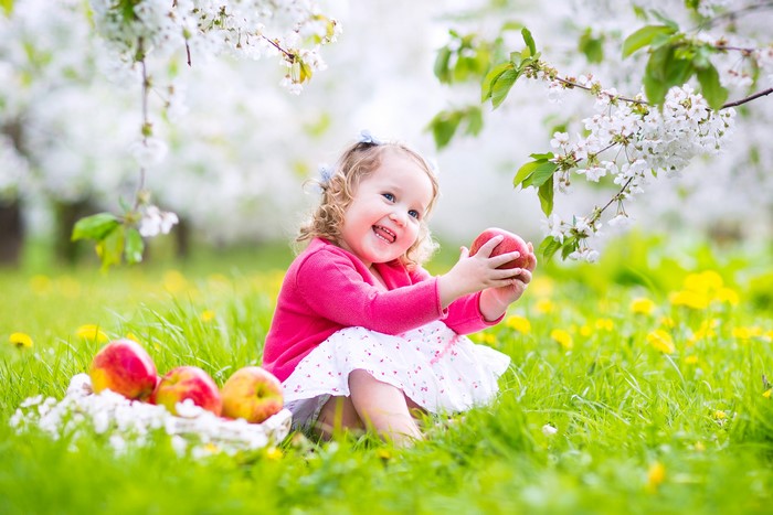 Little girl with apples under flowering trees
