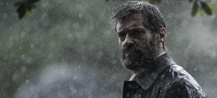 Logan from Logan in Rain