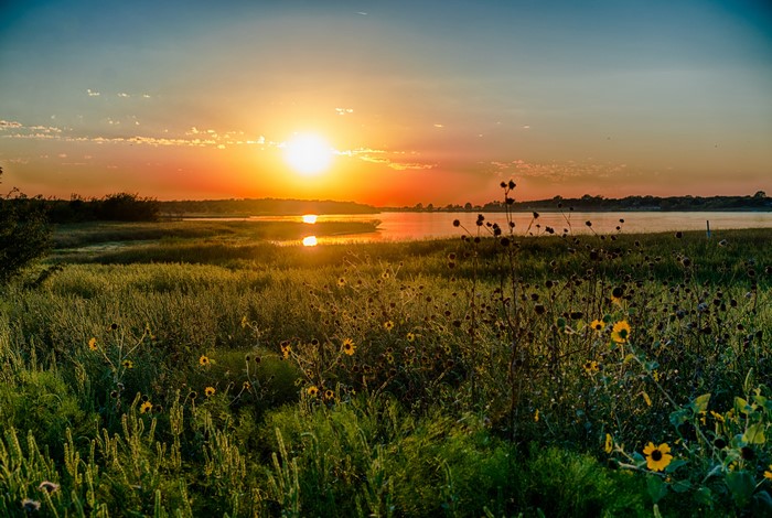Sunset over a grassy field and lake in Texas