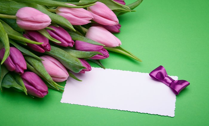 Pink and purple tulips with greeting card and bow
