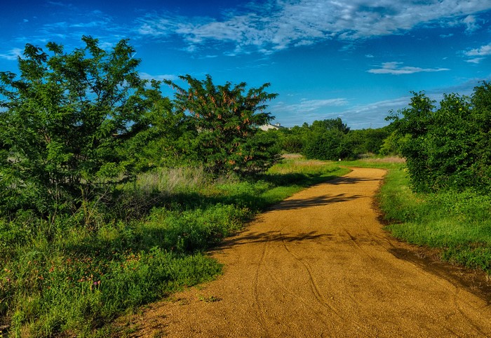 Dirt Road Through Green Landscape Under Blue Sky in USA