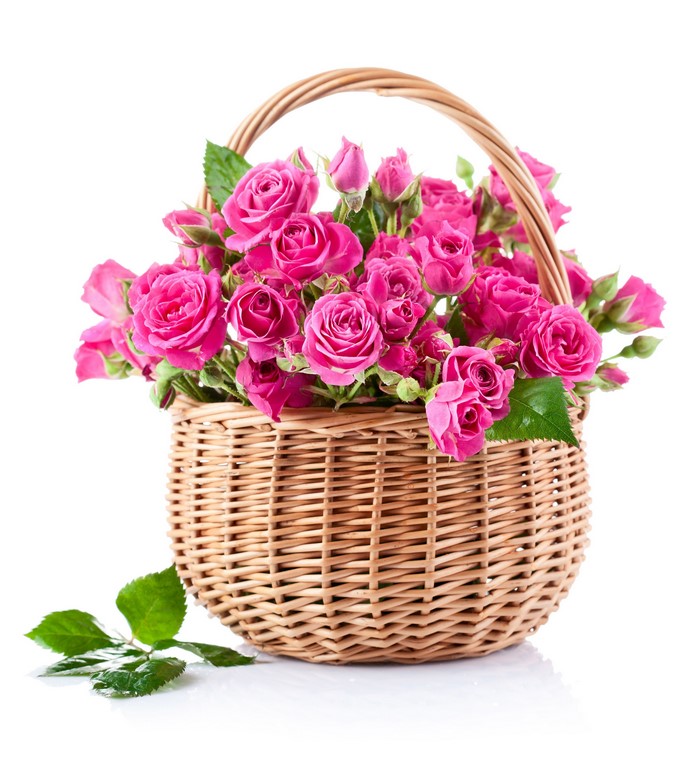 Pink roses in a wicker basket