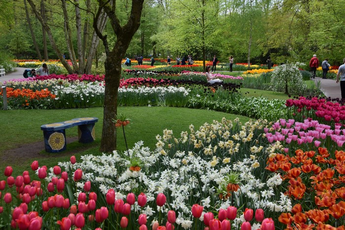 Keukenhof Gardens in the Netherlands with Tulips and Daffodils