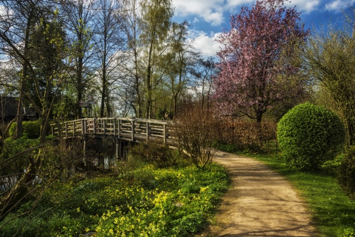 Wooden bridge over water in Wijdemeren, Netherlands during Spring