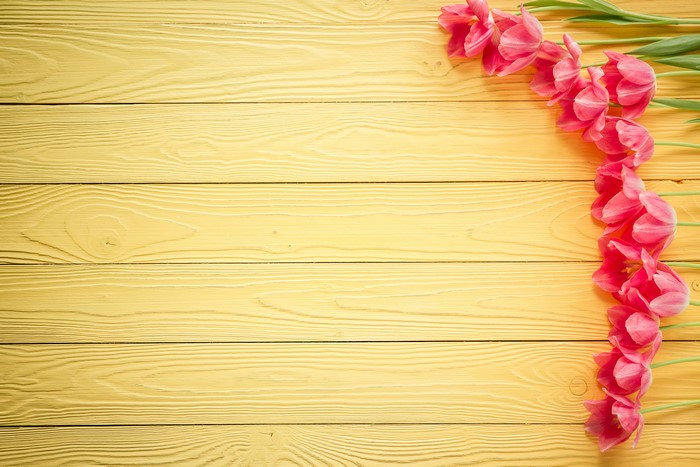 Pink Tulips on Yellow Wood Planks