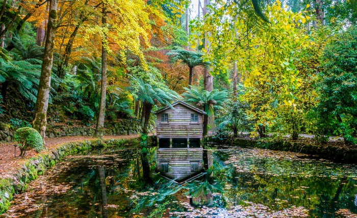 Wooden boathouse on a pond in Alfred Nicholas Memorial Gardens, Australia