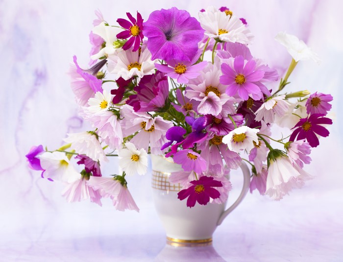 Bouquet of Cosmos and Petunias in a Vase