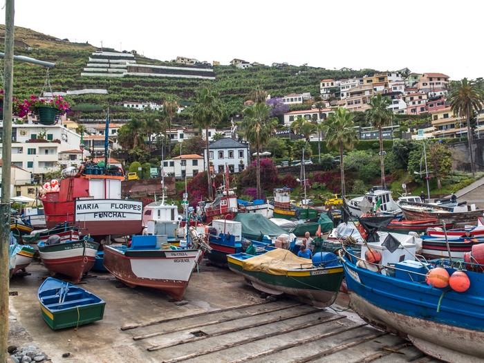 Boats docked in a harbor with houses on a hillside in Camara de Lobos, Madeira