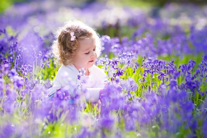 Little girl in a field of purple flowers
