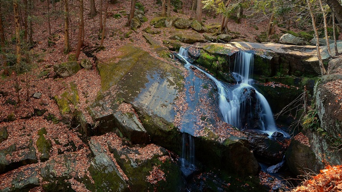 Waterfall cascading over mossy rocks in a forest