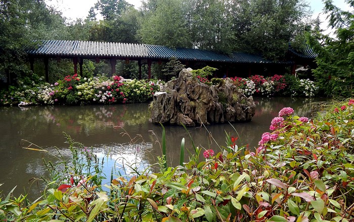 Chinese garden with pond, bridge, and flowers