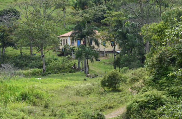 Fazenda Santa Cruz, Brazil, house surrounded by trees and shrubs