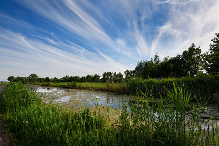 De Haeck Netherlands Rivers Sky