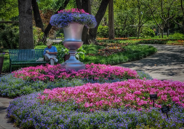 Man reading on bench at Dallas Arboretum in Texas
